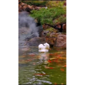 风景1708