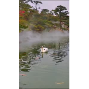 风景1709