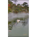 风景1709