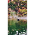 风景1710