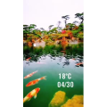 风景1713