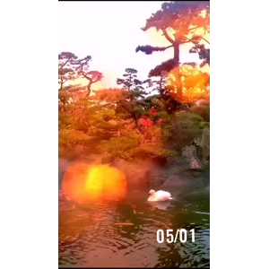 风景1717