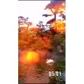 风景1717