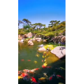风景1719