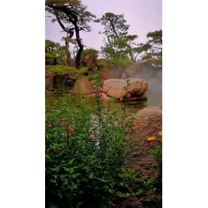 风景1720