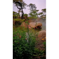 风景1720