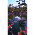 风景1721