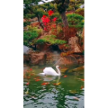 风景1722
