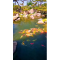 风景1723