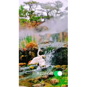 风景1724