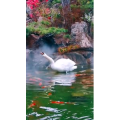 风景1726