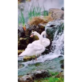 风景1727