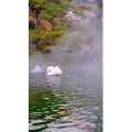 风景1730