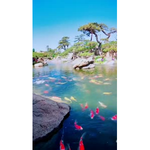 风景1731