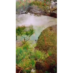 风景1734