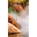 风景1736