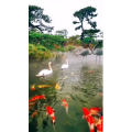 风景1738