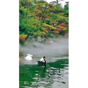 风景1740