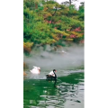 风景1740