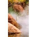 风景1741