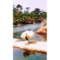 风景1746