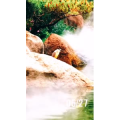 风景1749