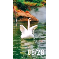 风景1751