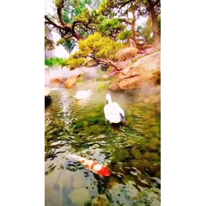 风景1753