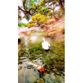 风景1753