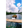 风景1754