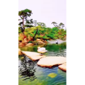 风景1755