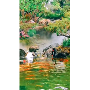 风景1759