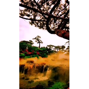 风景1764