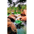 风景1765