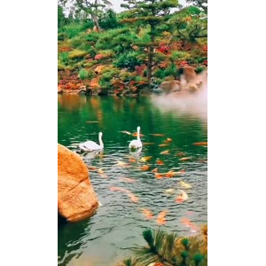 风景1768