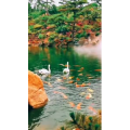 风景1768