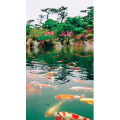风景1769