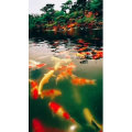 风景1771