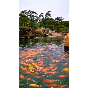 风景1774
