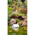 风景1780