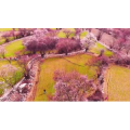 风景1783