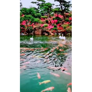 风景1785