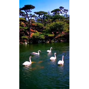 风景1786