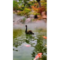 风景1791