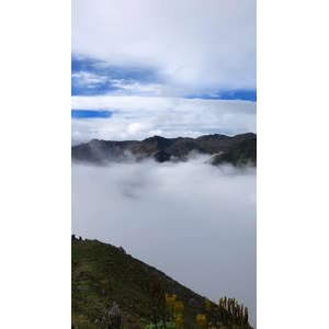 风景1795