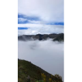 风景1795