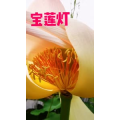 风景1803