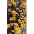 风景1817