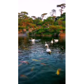 风景1819