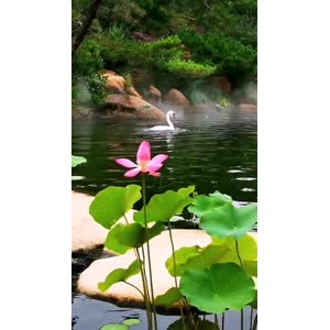 风景1824